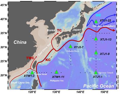 210Po-210Pb Disequilibrium in the Western North Pacific Ocean: Particle Cycling and POC Export